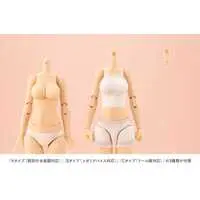 Tiny Closet - MEGAMI DEVICE / Koyomi Takanashi