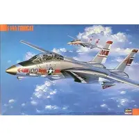 1/72 Scale Model Kit - Fighter aircraft model kits / F-14