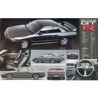 1/24 Scale Model Kit - NISSAN / SKYLINE