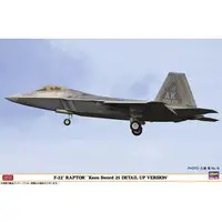 1/48 Scale Model Kit - Fighter aircraft model kits / F-22 Raptor