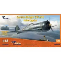 1/48 Scale Model Kit - Fighter aircraft model kits