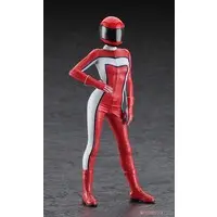 1/12 Scale Model Kit - Real Figure Collection