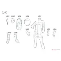 1/12 Scale Model Kit - Real Figure Collection