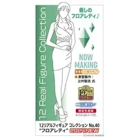 1/12 Scale Model Kit - Real Figure Collection