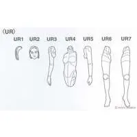 1/12 Scale Model Kit - Real Figure Collection