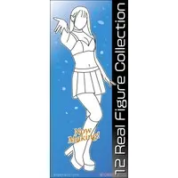 1/12 Scale Model Kit - Real Figure Collection