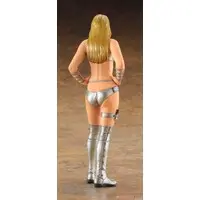 1/12 Scale Model Kit - Real Figure Collection