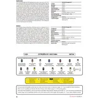 1/24 Scale Model Kit - Citroën