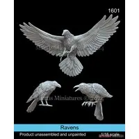 1/16 Scale Model Kit - People/Animals