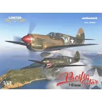 1/48 Scale Model Kit - Aircraft / Curtiss P-40 Warhawk