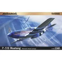 1/48 Scale Model Kit - Fighter aircraft model kits / North American P-51 Mustang