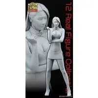1/12 Scale Model Kit - Real Figure Collection