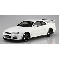 1/24 Scale Model Kit - PRE-PAINTED MODEL / SKYLINE