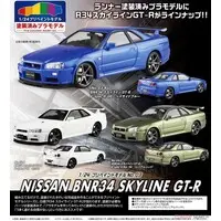 1/24 Scale Model Kit - PRE-PAINTED MODEL / SKYLINE