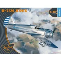 1/48 Scale Model Kit - Fighter aircraft model kits