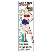 1/12 Scale Model Kit - 1/24 Scale Model Kit - Real Figure Collection