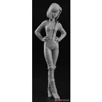 1/12 Scale Model Kit - You're Under Arrest / Suzuki GSX-R750 & Tsujimoto Natsumi