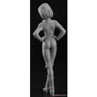 1/12 Scale Model Kit - You're Under Arrest / Suzuki GSX-R750 & Tsujimoto Natsumi