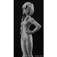 1/12 Scale Model Kit - You're Under Arrest / Suzuki GSX-R750 & Tsujimoto Natsumi