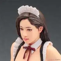 1/12 Scale Model Kit - 1/24 Scale Model Kit - Real Figure Collection