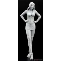 1/12 Scale Model Kit - 1/24 Scale Model Kit - Real Figure Collection
