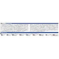 1/100 Scale Model Kit - Blue Impulse