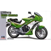 1/12 Scale Model Kit - Kawasaki