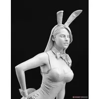 1/12 Scale Model Kit - 1/24 Scale Model Kit - Real Figure Collection