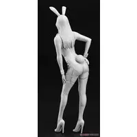 1/12 Scale Model Kit - 1/24 Scale Model Kit - Real Figure Collection