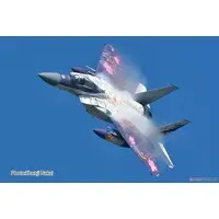 1/72 Scale Model Kit - Japan Self-Defense Forces / McDonnell Douglas F-15 Eagle