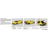 1/24 Scale Model Kit - Lamborghini / Countach