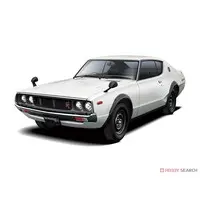 1/24 Scale Model Kit - The Model Car - NISSAN / SKYLINE