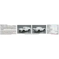 1/24 Scale Model Kit - The Model Car - NISSAN / SKYLINE