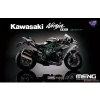 1/9 Scale Model Kit - Kawasaki / Kawasaki Ninja H2