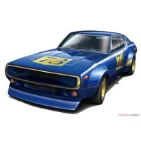 1/24 Scale Model Kit - The Model Car - NISSAN / SKYLINE