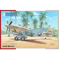 1/72 Scale Model Kit - Fighter aircraft model kits / Curtiss P-40 Warhawk