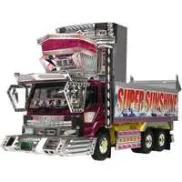 1/32 SUPER SUNSHINE Model Kit