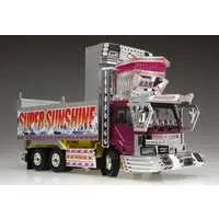 1/32 SUPER SUNSHINE Model Kit