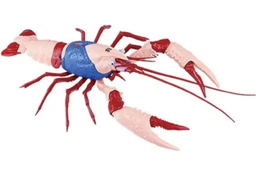Plastic Model Kit - Kinnikuman/ M.U.S.C.L.E. / Procambarus clarkii