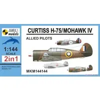 1/144 Scale Model Kit - Fighter aircraft model kits / Curtiss P-36 Hawk