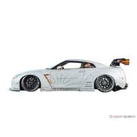 1/24 Scale Model Kit - NISSAN / SKYLINE