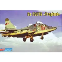 1/72 Scale Model Kit - Sukhoi / Sukhoi Su-25