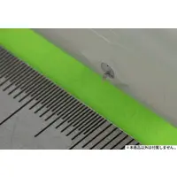 1/48 Scale Model Kit - Electronic-warfare aircraft / Boeing EA-18G Growler & Super Hornet