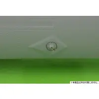 1/48 Scale Model Kit - Electronic-warfare aircraft / Boeing EA-18G Growler & Super Hornet