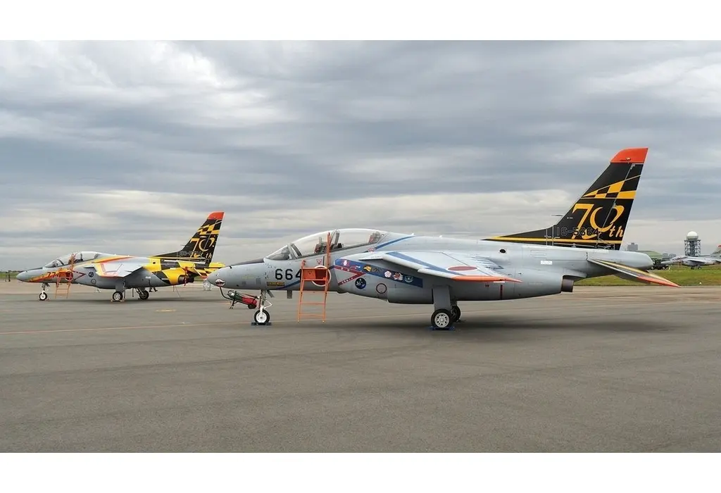 1/100 Scale Model Kit - Blue Impulse