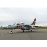 1/100 Scale Model Kit - Blue Impulse