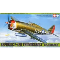 1/48 Scale Model Kit - Fighter aircraft model kits / P-47 Thunderbolt