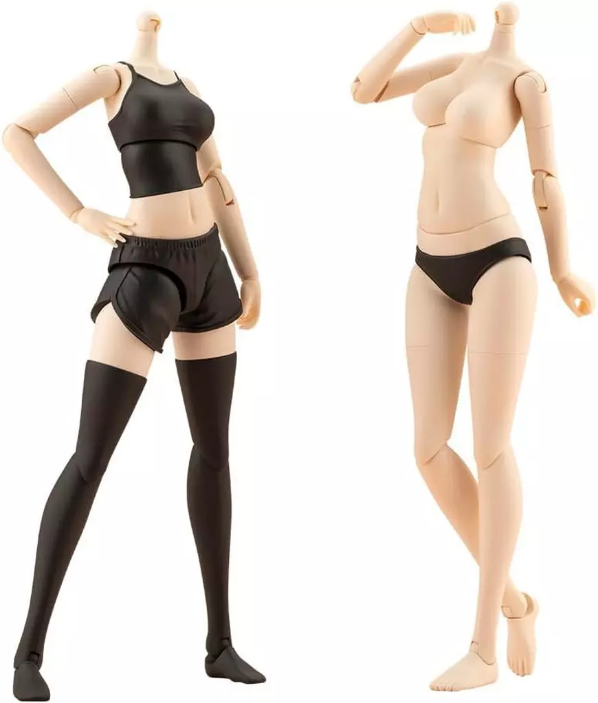 Tiny Closet - MEGAMI DEVICE / Koyomi Takanashi