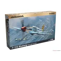 1/48 Scale Model Kit - Fighter aircraft model kits / North American P-51 Mustang