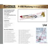 1/48 Scale Model Kit - Fighter aircraft model kits / North American P-51 Mustang